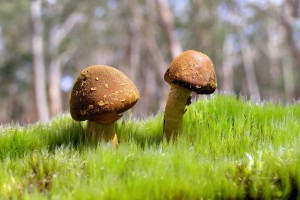 世界举重青年联赛国际裁判互评机制常态化运行，世界举重联合会官网